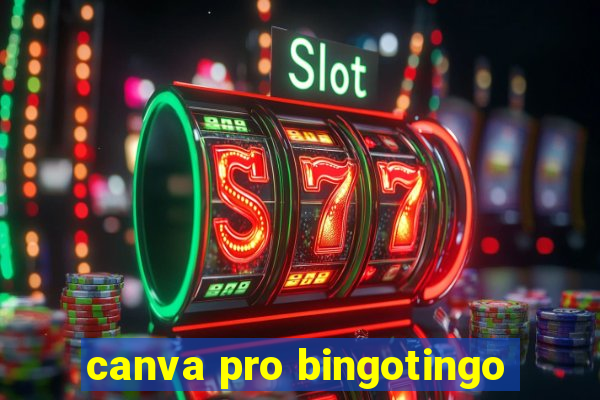 canva pro bingotingo